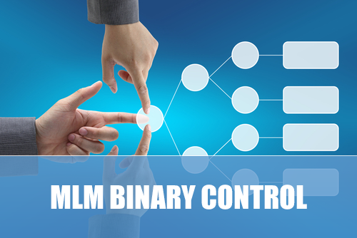 MLM Binary Control